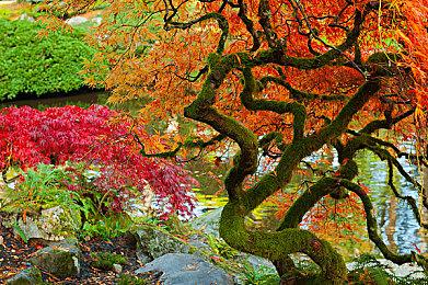 《驱灵者：新伊甸的幽灵》公布男主角Red技能视频